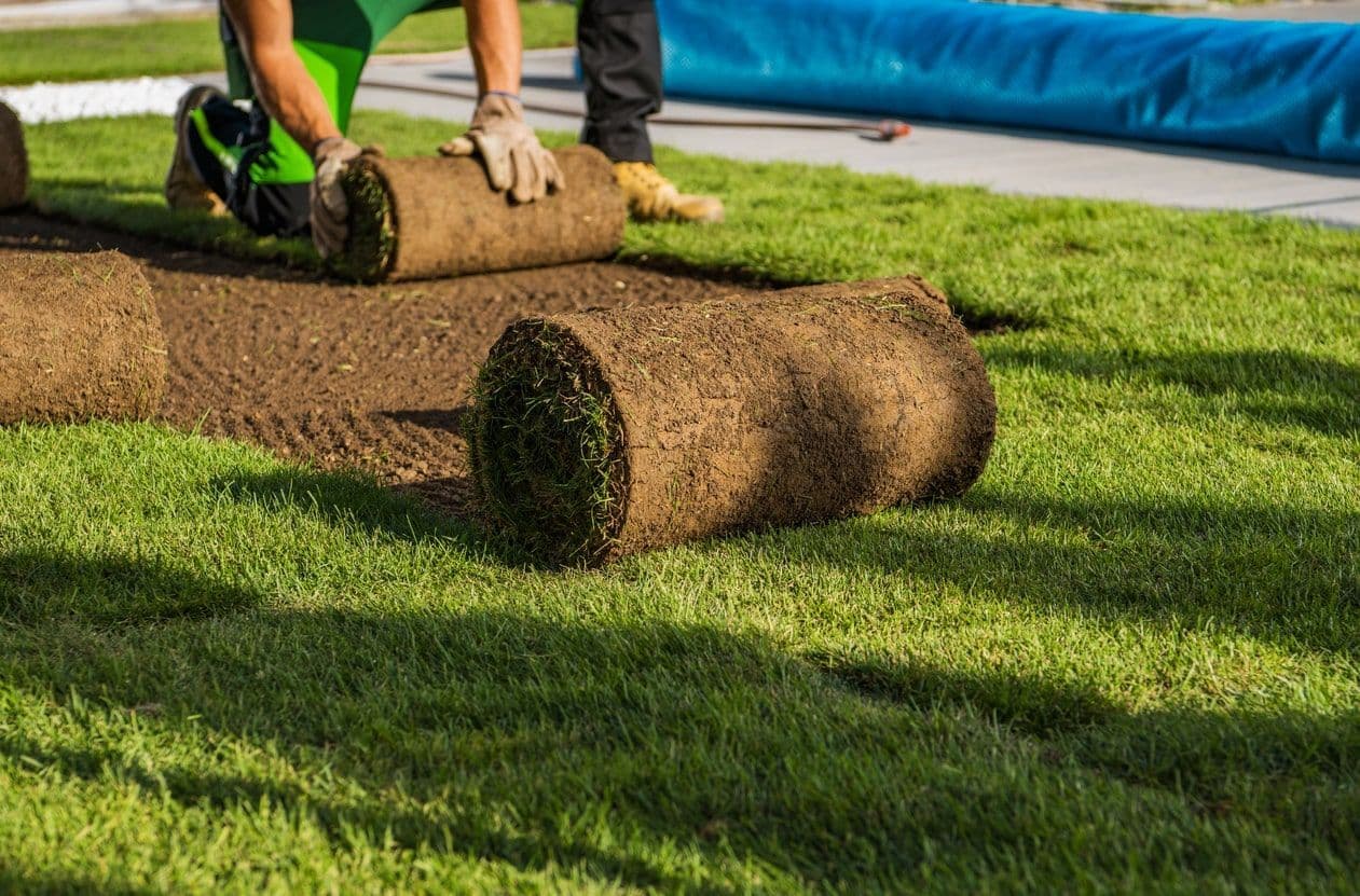 Fresh sod being installed across a prepared residential lawn